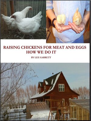 cover image of Raising Chickens For Meat and Eggs